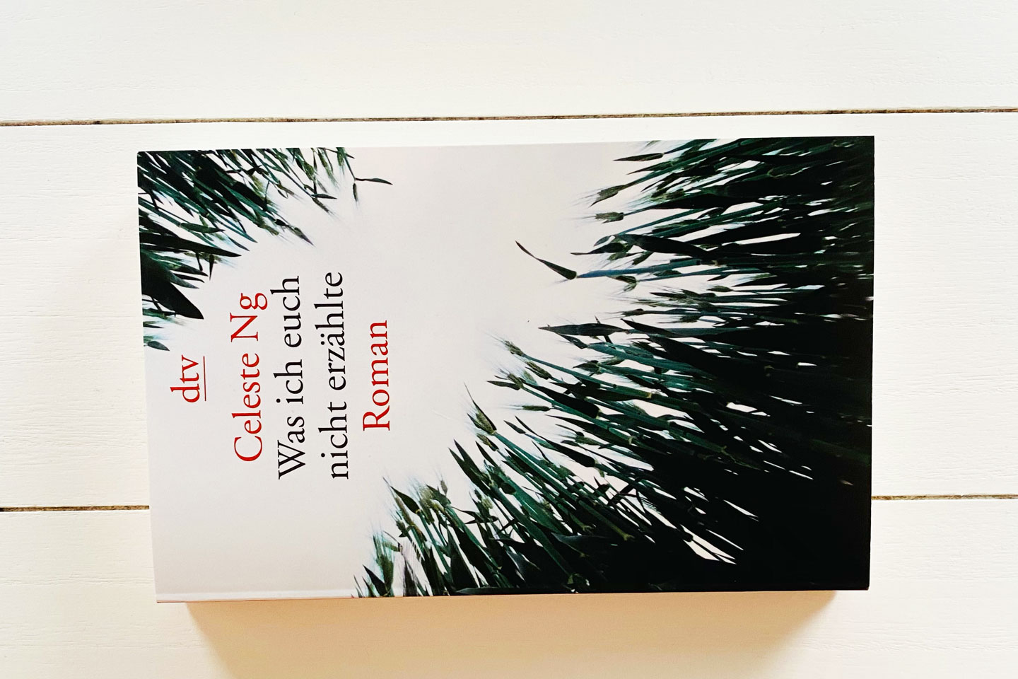 Celeste Ng Was ich euch nicht erzählte Anne liest Bücher